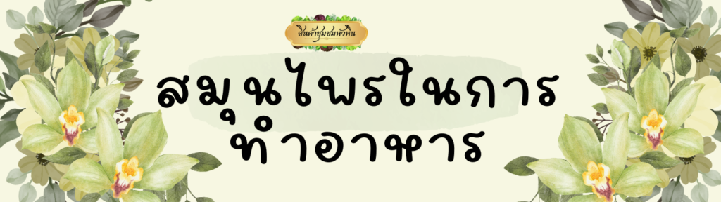 แบนเนอร์สมุนไพรในอาหาร